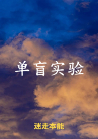 单盲盒