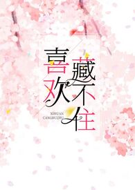 喜欢藏不住全文
